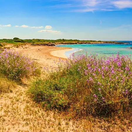 B&B Monteleo Salento 3*